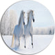 Two Galloping White Ponies, Animal Photo Large Disc Metal Wall Art, 23"