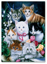 Jenny Newland 'Kittens' Canvas Art, 32x24