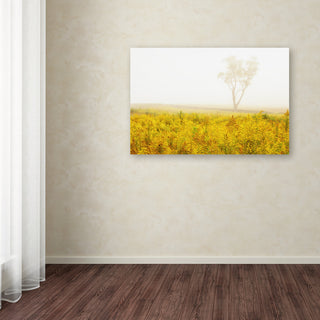 PIPA Fine Art 'Dreams of Goldenrod and Fog' Canvas Art, 32x22