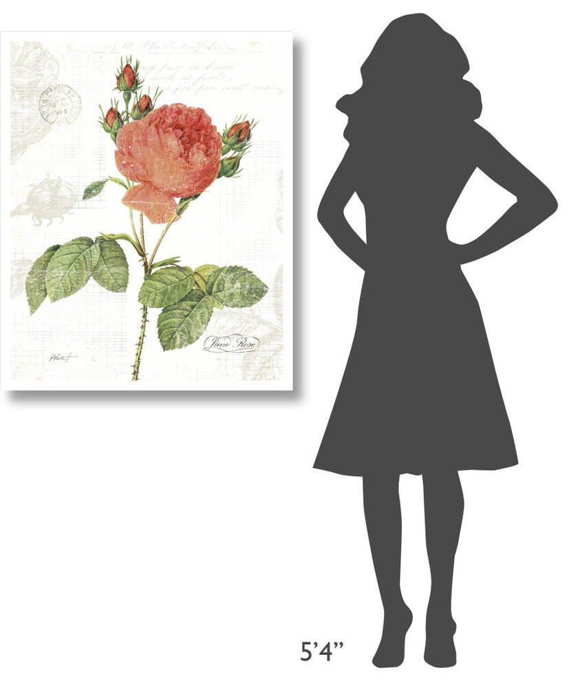 "June Rose on White" Digital Paper Print by Katie Pertiet, 30"x37"