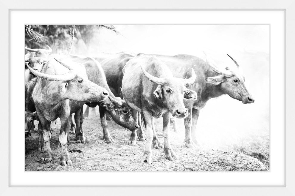 Marmont Hill, "Bovine Herd" Framed Painting Print, 18x12