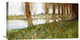 "The Amber Vale, a Host of Golden Daffodils" Artwork, 30" x 15"