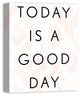 Today Is A Good Day 16x20 Canvas Wall Art