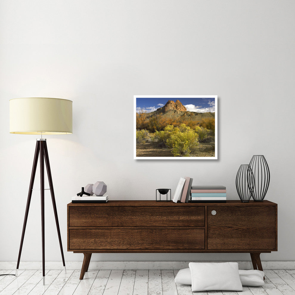 "Mitten Rock, New Mexico" Digital Paper Print by Tim Fitzharris, 34"x26"