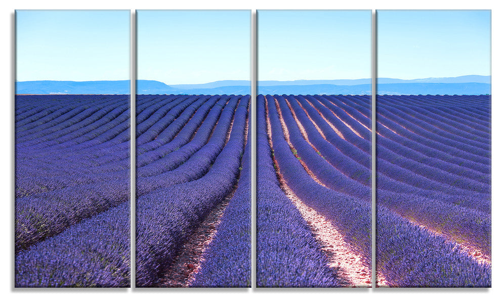 Endless Rows of Lavender Flowers, Floral Canvas Art print, 48"x28", 4 Panels