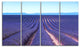 Endless Rows of Lavender Flowers, Floral Canvas Art print, 48"x28", 4 Panels