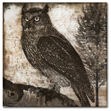 Color Bakery 'Owl 2' Canvas Art, 24"x24"