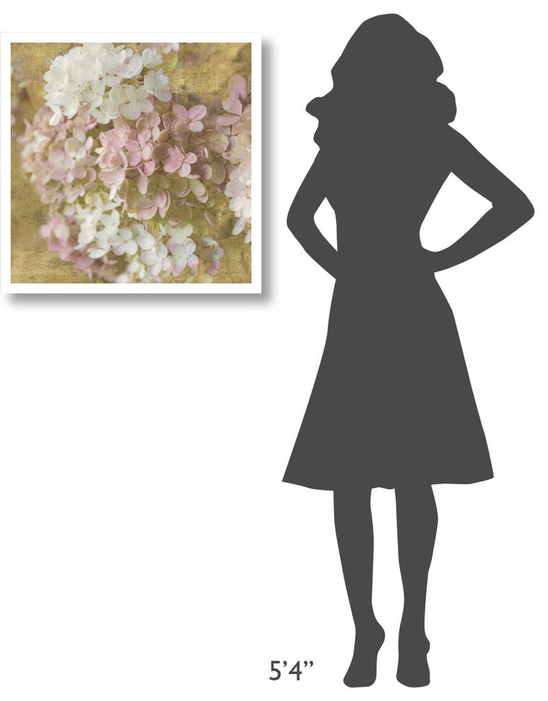 "Gilded Hydrangea II" Digital Paper Print by Sue Schlabach, 26"x26"