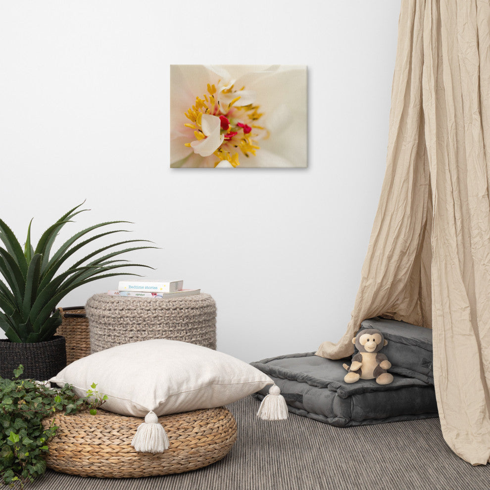 Eye of Peony Floral Nature Photography Canvas Wall Art Print, 18" X 24"