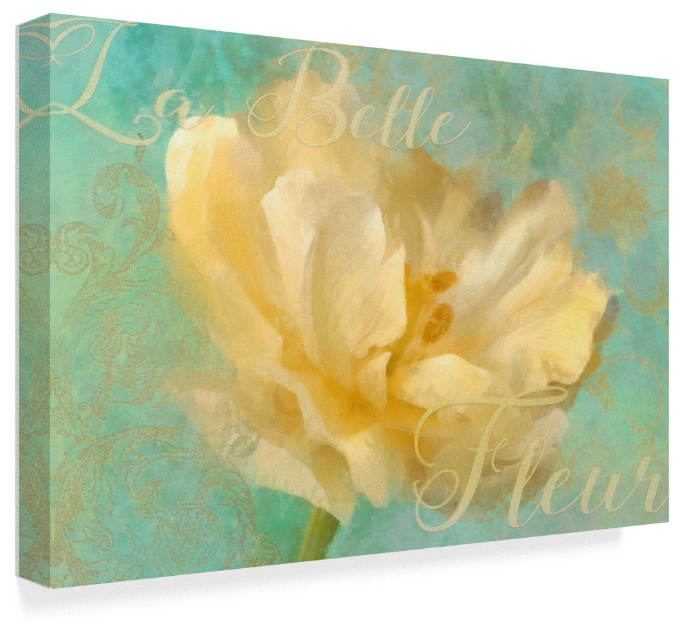 "La Belle Fleur I" by Cora Niele, Canvas Art, 16"x24"