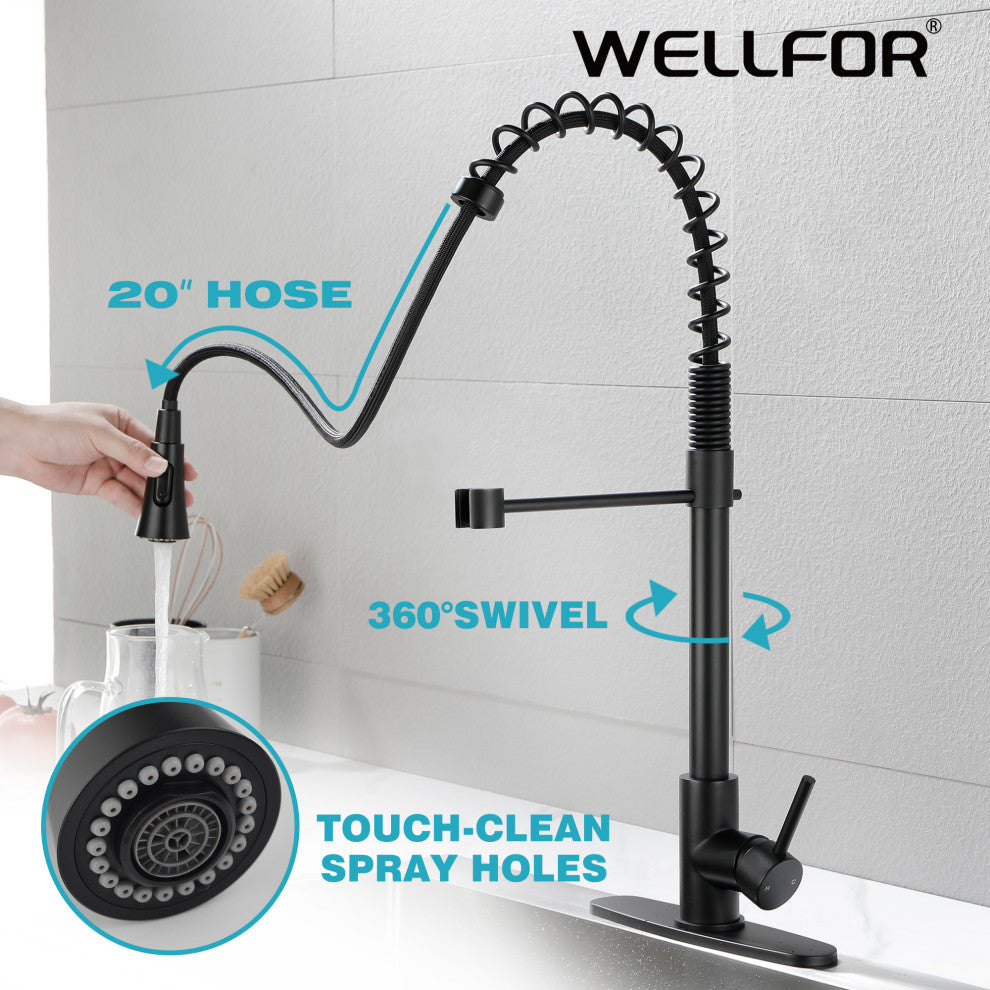 Wellfor Stainless Steel Pull Down Kitchen Faucet With Deck Plate, Matte Black