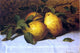 John Joseph Enneking Pears, 18"x27" Wall Decal