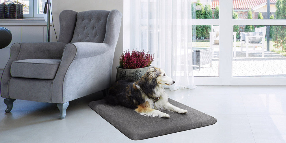 Wellness PetMat Premium Therapeutic Squared Dog Bed, Silver Haven, 26"x40"