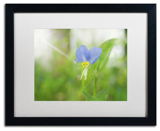 PIPA Fine Art 'Asiatic Dayflower' Matted Framed Art, 20x16