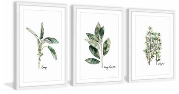 "Herb Trio" Framed Painting Triptych, 36"x18"
