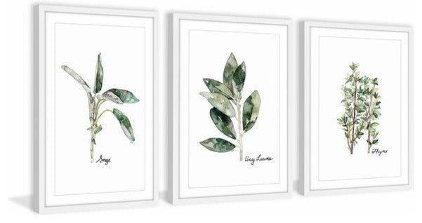 "Herb Trio" Framed Painting Triptych, 36"x18"