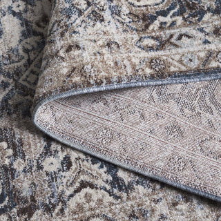 Safavieh Antique Patina ANP634 Rug, Blue/Beige, 5'3"x7'7"