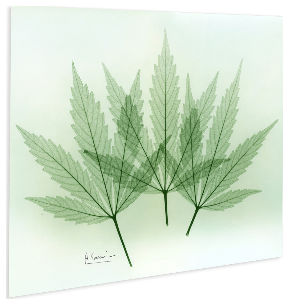 "Green Flower" Frameless Free Floating Panel Graphic Wall Art, 16"x20"
