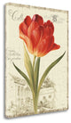 "Garden VIew III - Red Tulip" By Lisa Audit, Giclee Print on Gallery Wrap Canvas