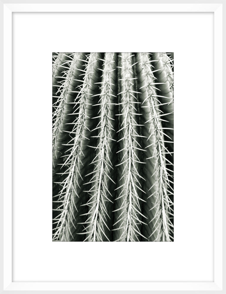 Silver Spike Small 6, Giclee Reproduction Artwork