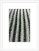 Silver Spike Small 6, Giclee Reproduction Artwork