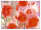 'Crimson Field' Canvas Art by Sheila Golden