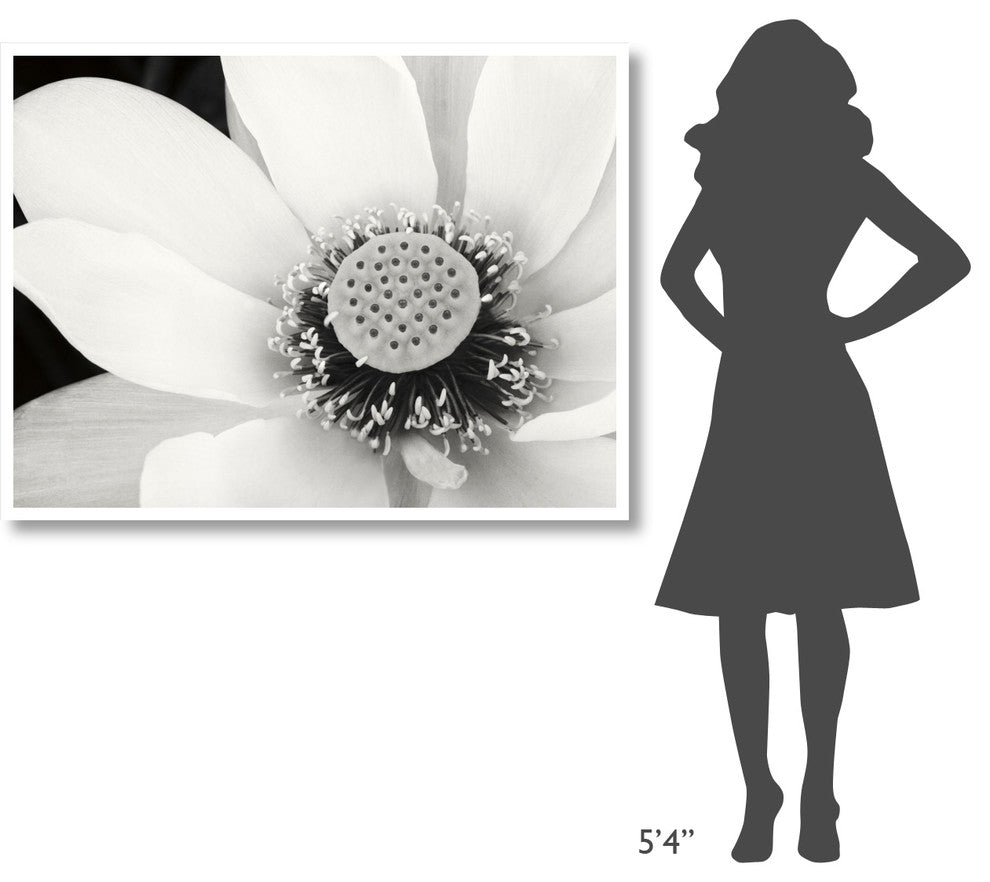 "Lotus Flower IV" Digital Paper Print by Debra Van Swearingen, 50"x38"