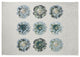 Gypsy Floral Spring Chenille Rug, Green, 5'x7'