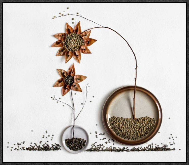 "Herbarium2" Framed Canvas Giclee by Dimitar Lazarov, 23x20"