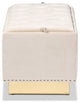 Glam Luxe Beige Velvet Fabric Upholstered and Gold PU Leather Storage Ottoman