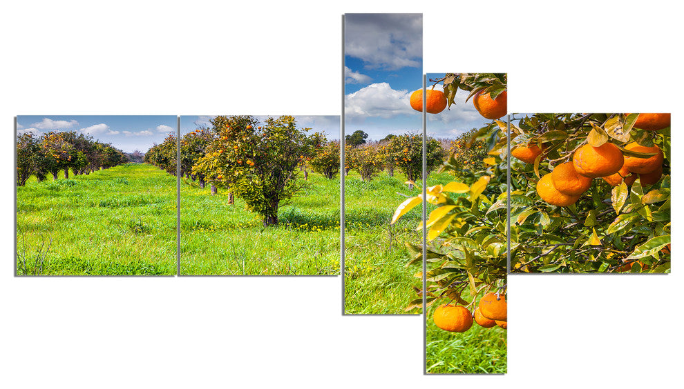 Bright Green Grass in Orange Garden, Landscape Canvas Print, 60"x32", 5 panels
