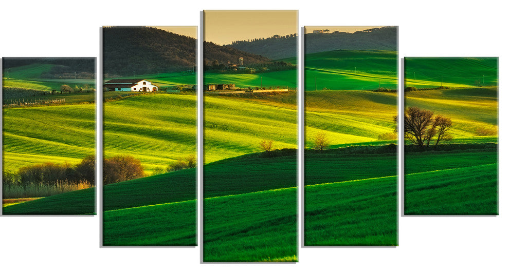 Trees and Farmland Near Volterra, Landscape Canvas Art, 60"x32", 5 Panels