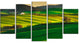 Trees and Farmland Near Volterra, Landscape Canvas Art, 60"x32", 5 Panels