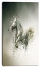 Smart White Horse Running, Animal Canvas Wall Art, 16"x32"