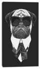 Funny Dog with Black Glasses, Animal Canvas Art Print, 16"x32"