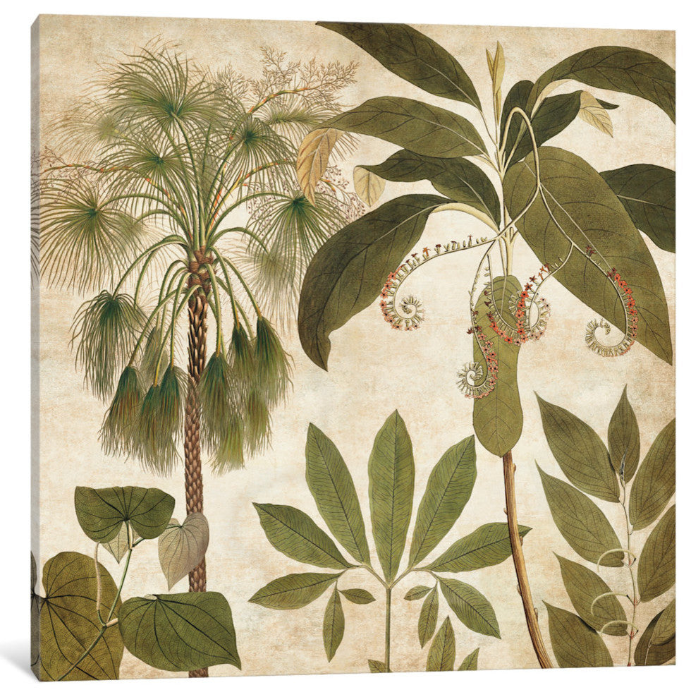 "Palm Persuasion II" by Chris Donovan, Canvas Print, 37"x37"
