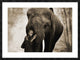 "Healing Embrace" Framed Digital Print by Moreau, 44x32"