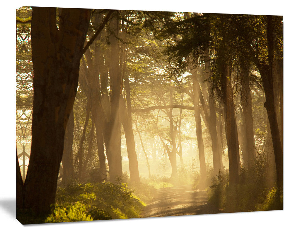 Deep Jungle with Foggy Sunlight, Oversized Landscape Canvas Art, 20"x12"