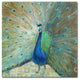 'Blue Peacock on Gold' Canvas Art by Danhui Nai