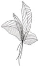 Matte Black Boho Chic Palm Leaf Wall Art