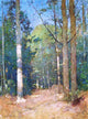Emil Carlsen Afternoon Sunlight, 21"x28" Wall Decal Print