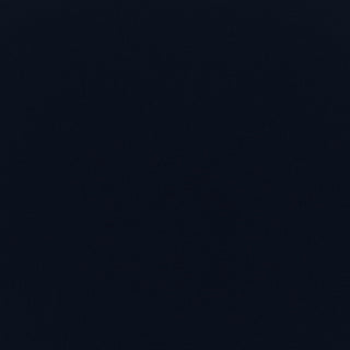 Sunbrella Outdoor Loveseat Pillow and Cushion Set, Canvas Navy