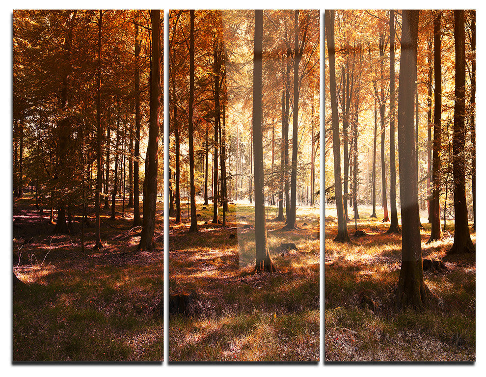 "Thick Fall Forest With Orange Leaves" Metal Wall Art, 3 Panels, 36"x28"