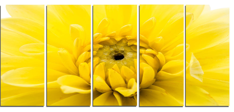 Yellow Chrysanthemum Gold Flower, Flower Artwork on Canvas, 60"x28", 5 Panels