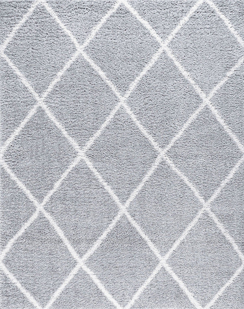 Derry Transitional Diamond White Rectangle Area Rug, 4'x5'
