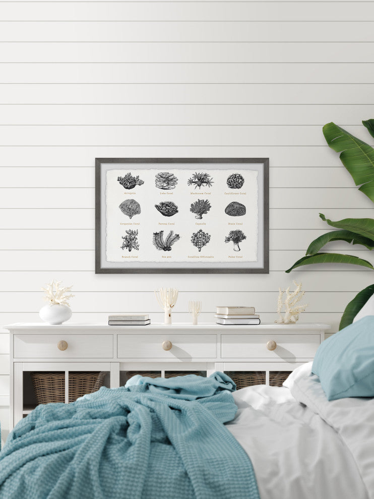 "Coral Collection" Framed Painting Print, 24x16