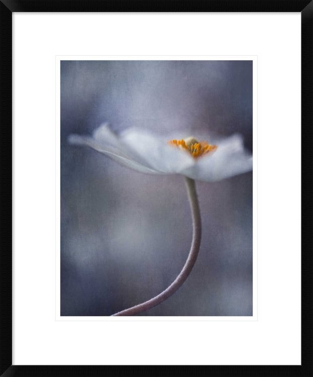 "The Beauty Within" Framed Digital Print by Priska Wettstein, 20"x24"