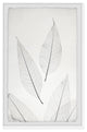 "Pointing Leaves" Framed Painting Print, 30x45