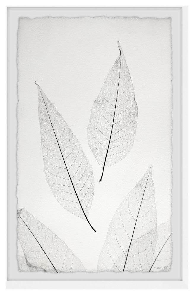 "Pointing Leaves" Framed Painting Print, 30x45