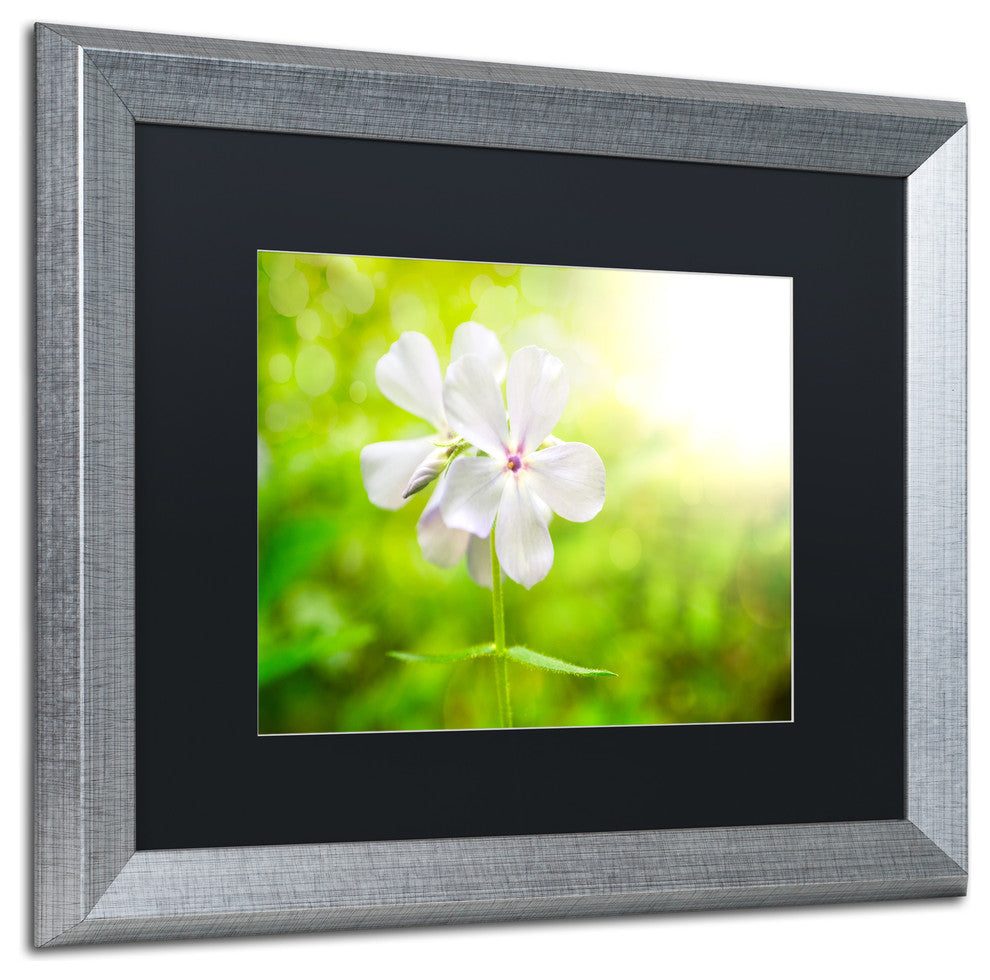 PIPA Fine Art 'Beauty of the Forest Floor' Matted Framed Art, 20x16